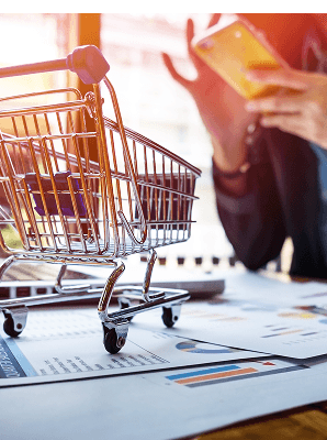 Ecommerce Startup